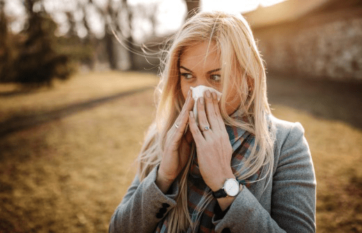 How to fight allergies not only during the spring pollen season