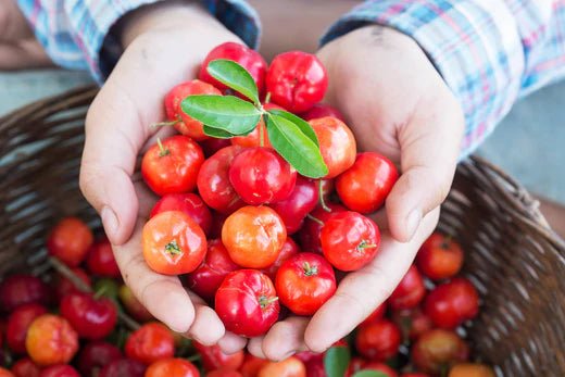 Acerola - more than just vitamin C