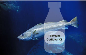 Discover Liquid Omega 3 - the best quality from premium cod liver oil to organic citrus essential oils