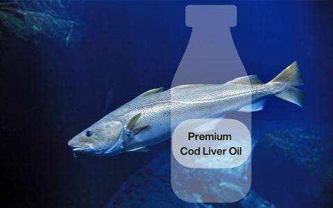 Discover Liquid Omega 3 - the best quality from premium cod liver oil to organic citrus essential oils