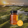 Omega3 Vegan - 90 kapsułek