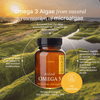 Omega3 Vegan - 90 kapsułek