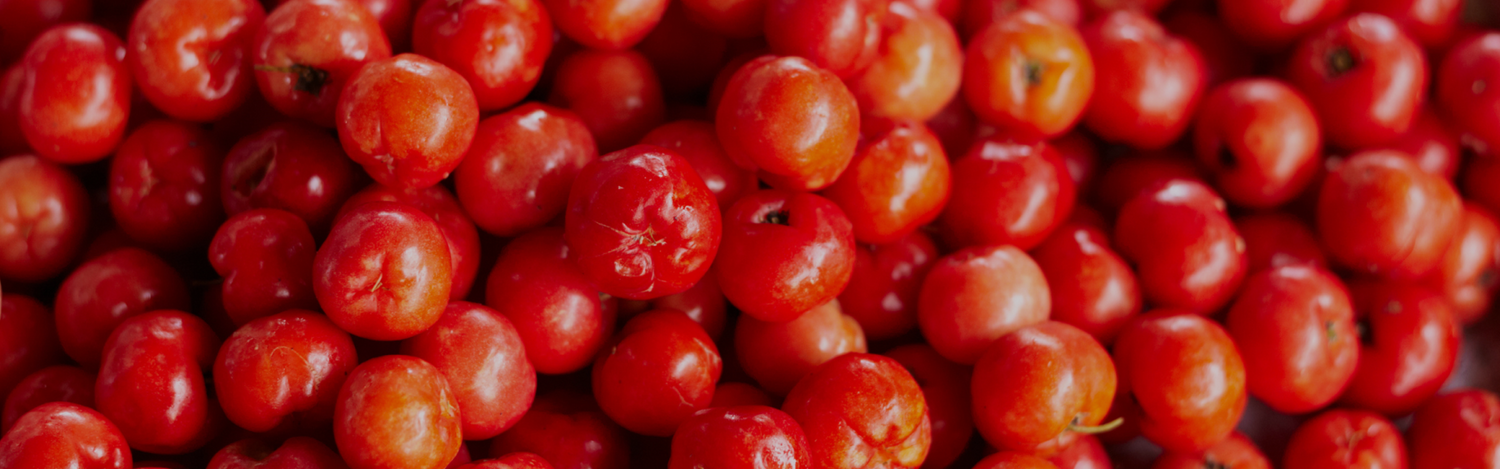 Close-up of red berries, Acerola
